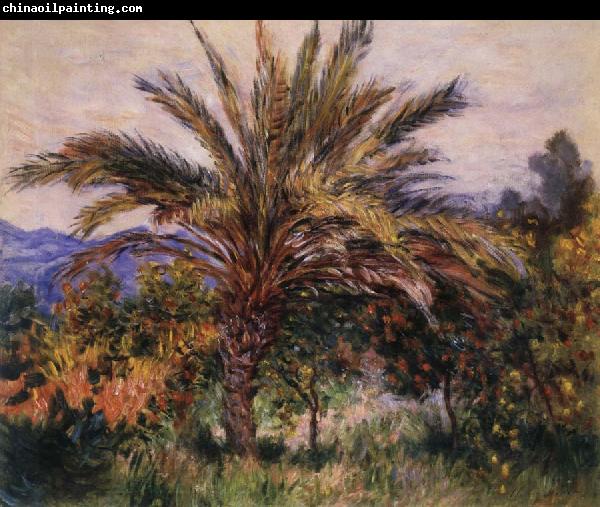 Claude Monet A Palm Tree at Bordighera
