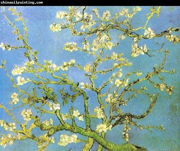 Vincent Van Gogh Blossomong Almond Tree