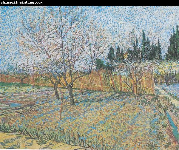 Vincent Van Gogh Flowering orchard with peach-trees