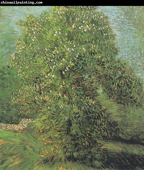 Vincent Van Gogh Blossoming Chestnut Tree