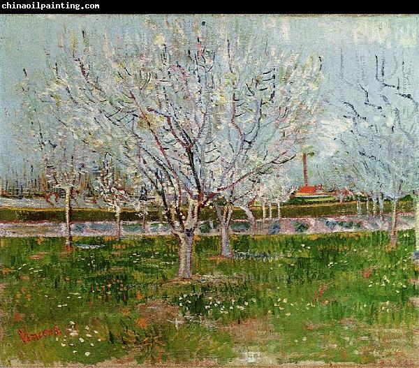 Vincent Van Gogh Bluhender Obstgarten