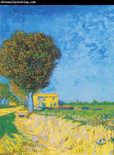 Vincent Van Gogh A Lane near Arles
