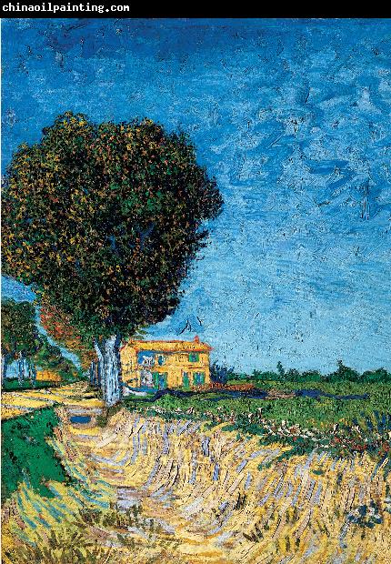 Vincent Van Gogh Avenue bij Arles
