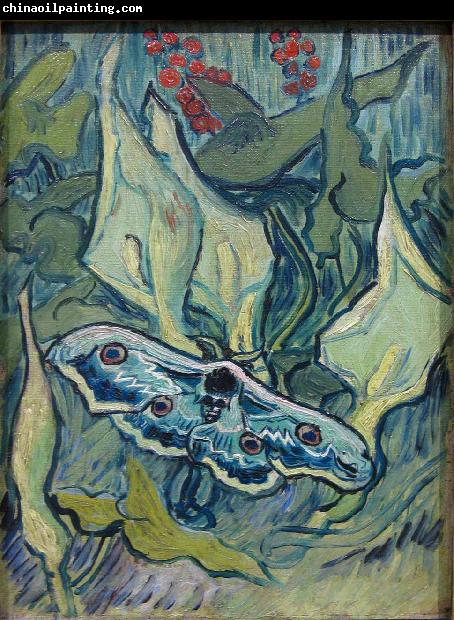 Vincent Van Gogh Butterflies
