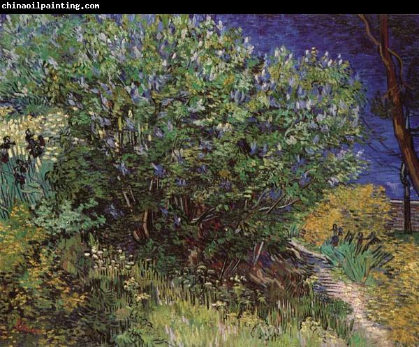 Vincent Van Gogh Bushes