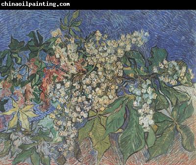 Vincent Van Gogh Blossoming Chestnut Branches (nn04)