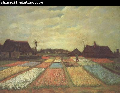 Vincent Van Gogh Bulb Fields (nn04)