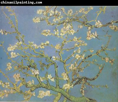 Vincent Van Gogh Blossoming Almond Tree (nn04)