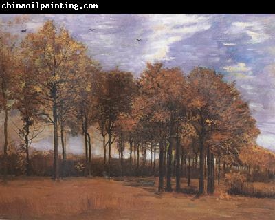 Vincent Van Gogh Autumn Landscape (nn04)