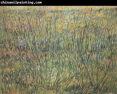 Vincent Van Gogh Pasture in Bloom (nn04)