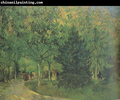 Vincent Van Gogh A Lane in the Public Garden at Arles (nn04)